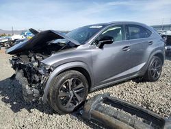 Salvage cars for sale from Copart Reno, NV: 2020 Lexus NX 300