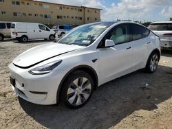 2023 Tesla Model Y en venta en Opa Locka, FL