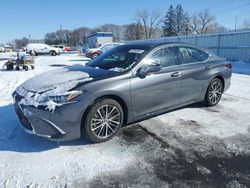 Salvage cars for sale at Ham Lake, MN auction: 2023 Lexus ES 250 Base