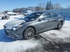 2023 Lexus ES 250 Base