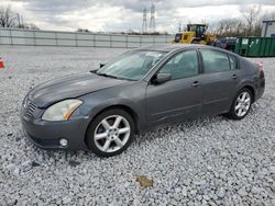 Salvage cars for sale at Barberton, OH auction: 2005 Nissan Maxima SE