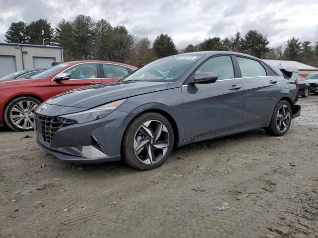 2023 Hyundai Elantra Limited