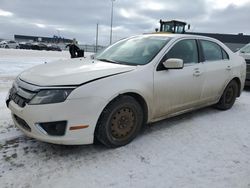 Salvage cars for sale at Nisku, AB auction: 2010 Ford Fusion SEL