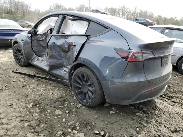 2020 Tesla Model Y