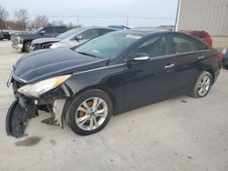 Salvage cars for sale from Copart Lawrenceburg, KY: 2013 Hyundai Sonata SE