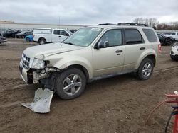 2010 Ford Escape XLT en venta en Davison, MI