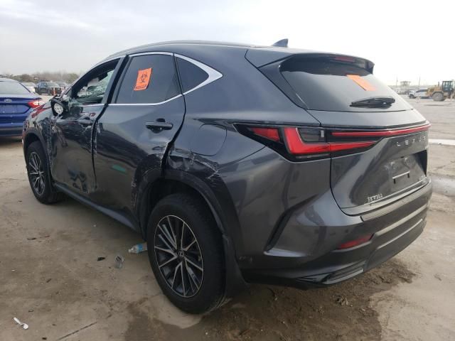 2024 Lexus NX 350H Base