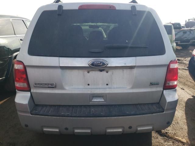 2012 Ford Escape Limited