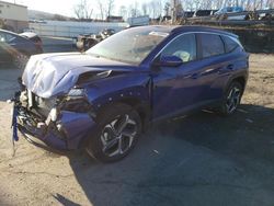 2024 Hyundai Tucson SEL for sale in Marlboro, NY