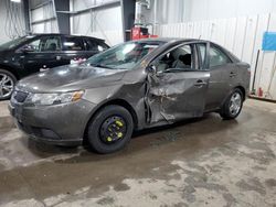 Salvage cars for sale at Ham Lake, MN auction: 2012 KIA Forte EX