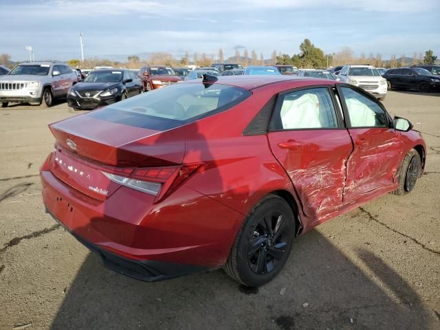 2023 Hyundai Elantra Blue