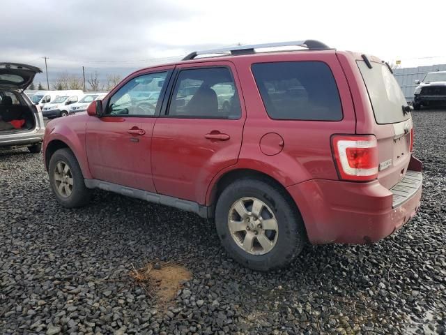 2010 Ford Escape Limited