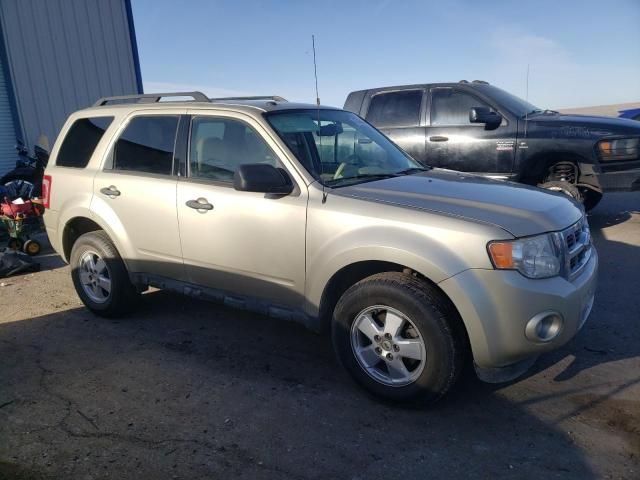 2012 Ford Escape XLT