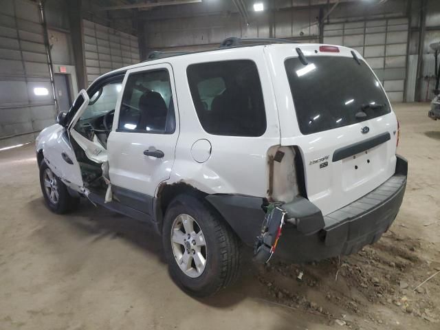 2007 Ford Escape XLT