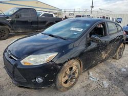 Ford Focus se salvage cars for sale: 2014 Ford Focus SE