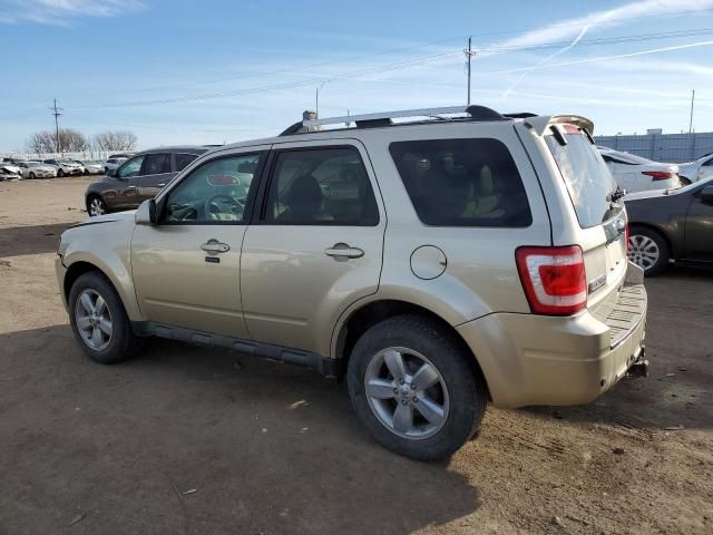 2011 Ford Escape Limited