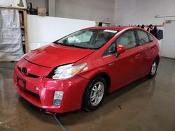 Toyota salvage cars for sale: 2010 Toyota Prius