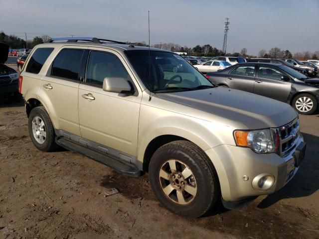 2012 Ford Escape Limited