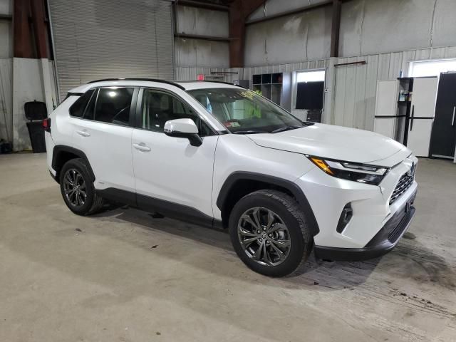 2023 Toyota Rav4 XLE Premium