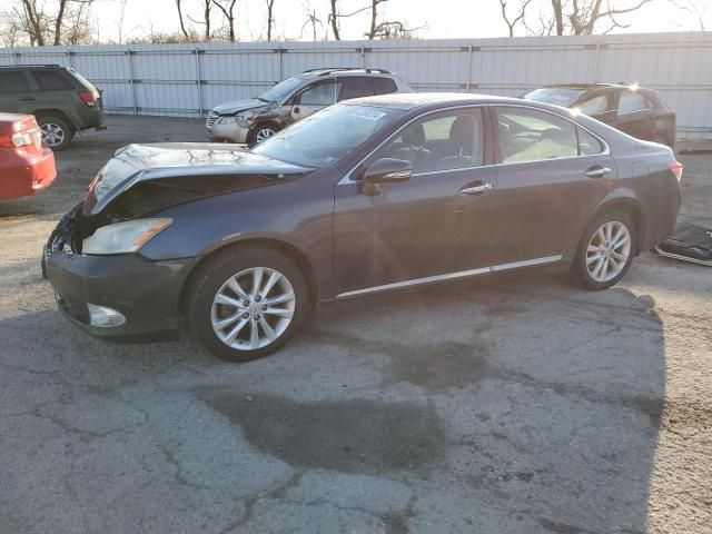 2010 Lexus ES 350