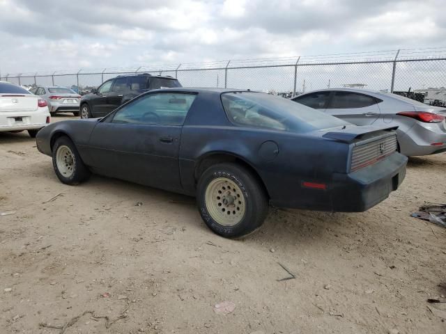 1982 Pontiac Firebird SE