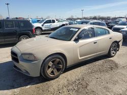 Salvage cars for sale at Indianapolis, IN auction: 2013 Dodge Charger Police