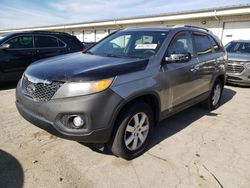 Salvage cars for sale at Louisville, KY auction: 2011 KIA Sorento Base