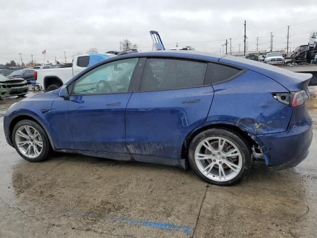 2020 Tesla Model Y