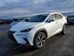 Salvage cars for sale at auction: 2020 Lexus NX 300H