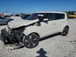 Salvage cars for sale at Opa Locka, FL auction: 2016 KIA Soul