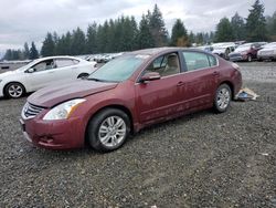 2010 Nissan Altima Base en venta en Graham, WA