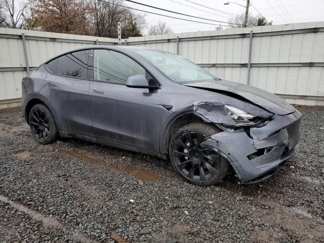 2020 Tesla Model Y