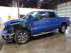 2013 Ford F150 Supercrew en venta en Blaine, MN