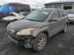 Salvage cars for sale from Copart Eugene, OR: 2009 Honda CR-V EXL