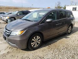 Honda Odyssey salvage cars for sale: 2016 Honda Odyssey SE