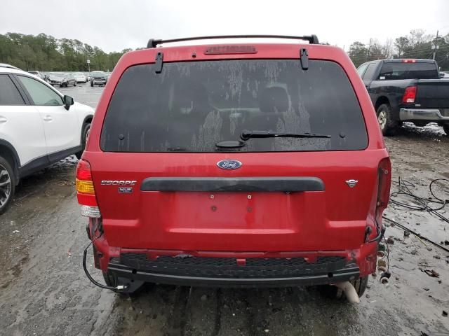 2007 Ford Escape XLT