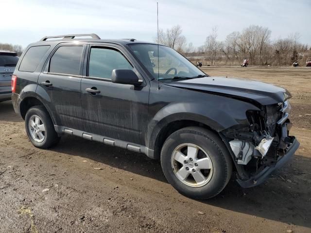 2012 Ford Escape XLT