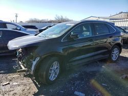Ford Edge SEL salvage cars for sale: 2021 Ford Edge SEL