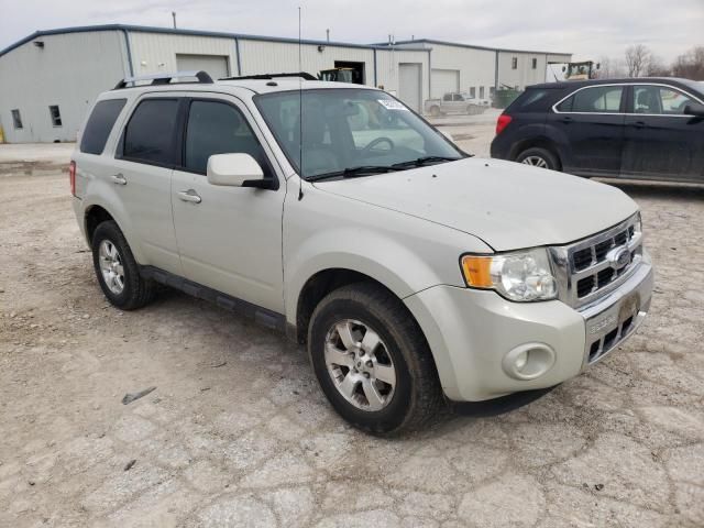 2009 Ford Escape Limited