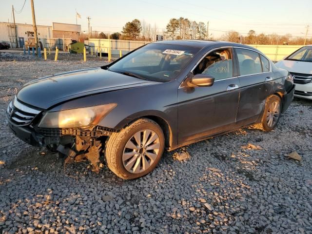 2011 Honda Accord EXL