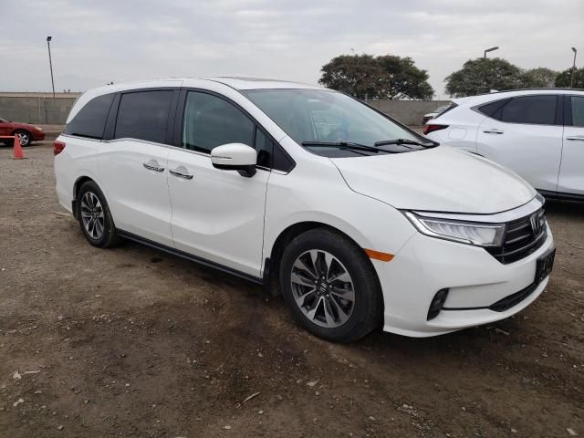 2023 Honda Odyssey EXL