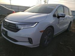 Salvage cars for sale at Elgin, IL auction: 2022 Honda Odyssey EX