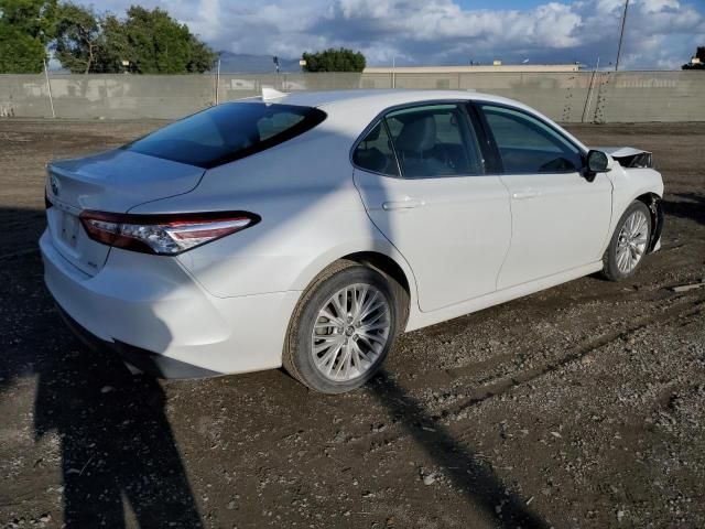 2019 Toyota Camry L