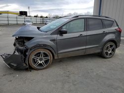 Salvage cars for sale at Antelope, CA auction: 2019 Ford Escape SEL