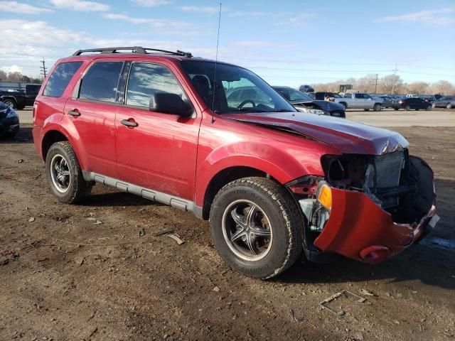 2009 Ford Escape XLT