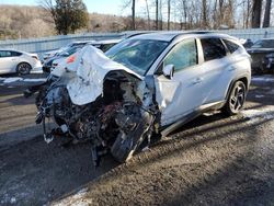 Salvage cars for sale at Center Rutland, VT auction: 2023 Hyundai Tucson SEL