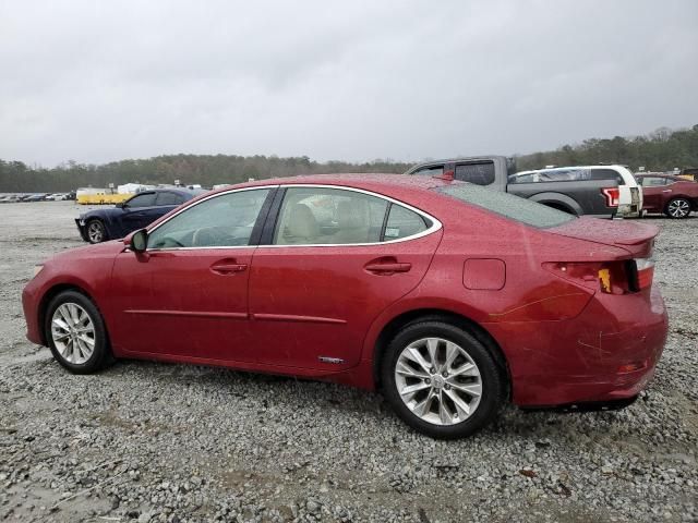 2014 Lexus ES 300H