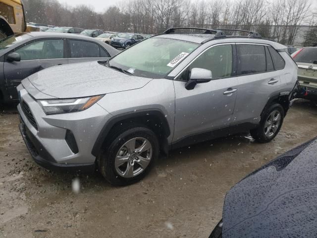 2023 Toyota Rav4 XLE