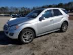 2010 Mercedes-Benz ML 350 4matic