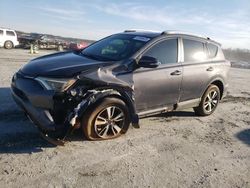 Toyota Rav4 XLE salvage cars for sale: 2016 Toyota Rav4 XLE